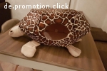 *Haustierhöhle Schildkröte*